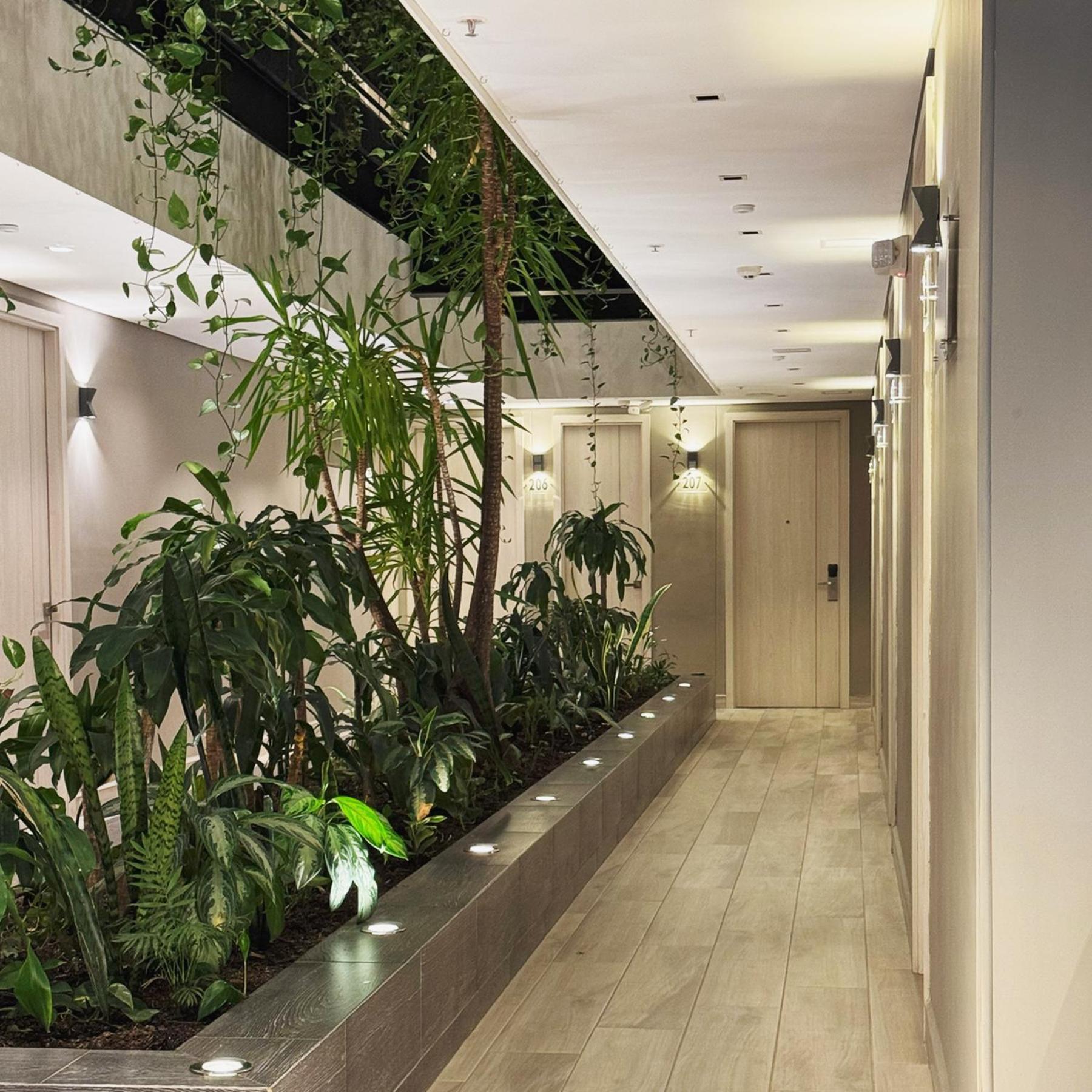 4 Sur Hotel Меделин Екстериор снимка